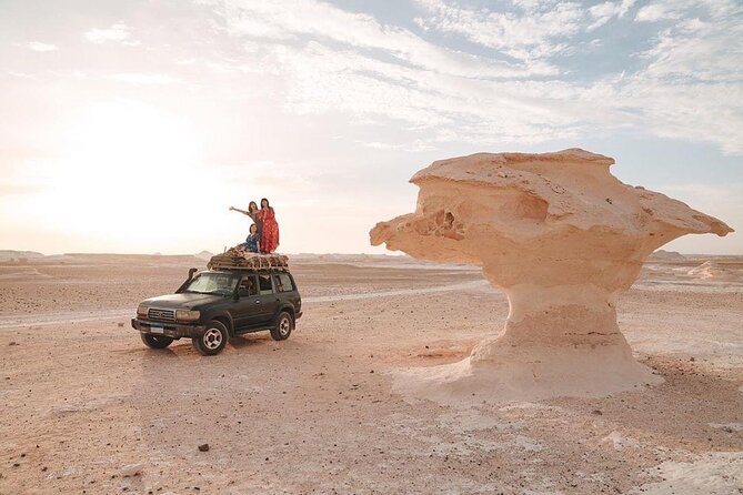 From Cairo: Black & White Deserts With Crystal Mountains Tour at Baharia Oasis - Traveler Considerations