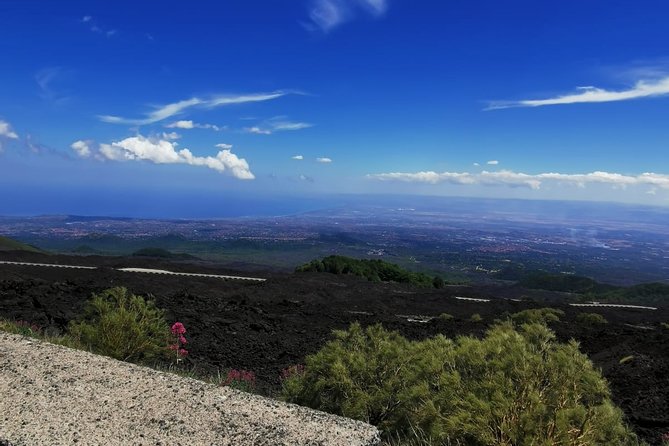 From Catania: Private Mt. Etna Trekking and Picnic - Flexible Cancellation and Modification Policy