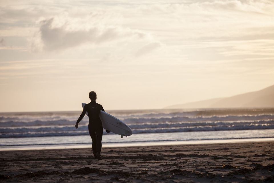 From Cork: Full-Day Guided Tour to Dingle Peninsula - Customer Feedback