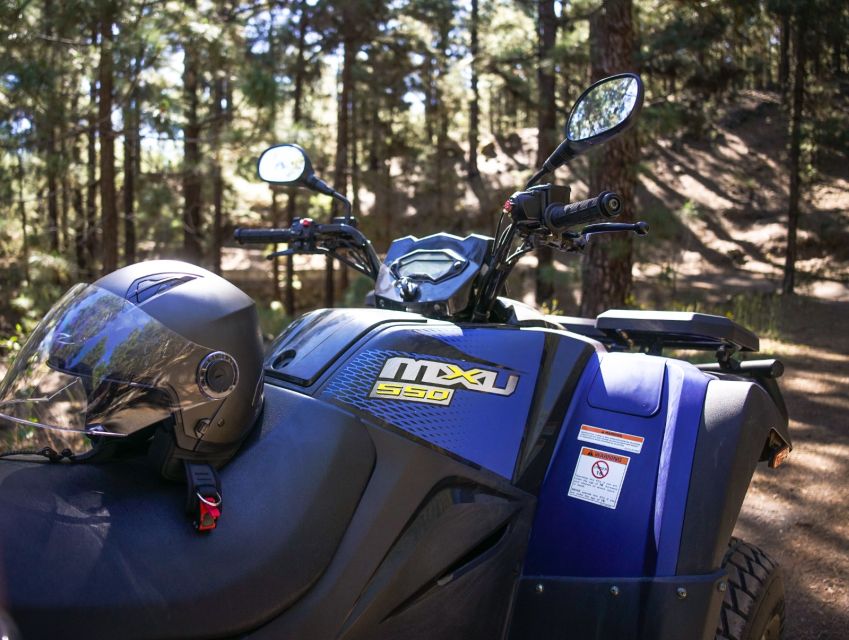 From Costa Adeje: Mount Teide Forest Off-Road Quad Bike Tour - Inclusions