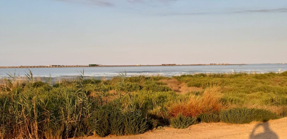 From Deltebre: Ebro Delta National Park Multi-Stop Day Trip - Rice Production and Ecosystems