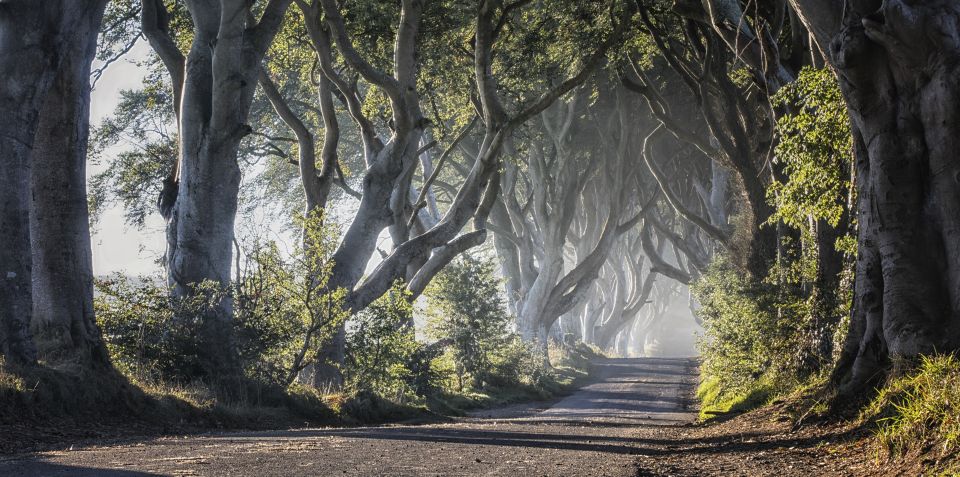 From Dublin: Giants Causeway Tour and Whiskey Tasting - Customer Reviews