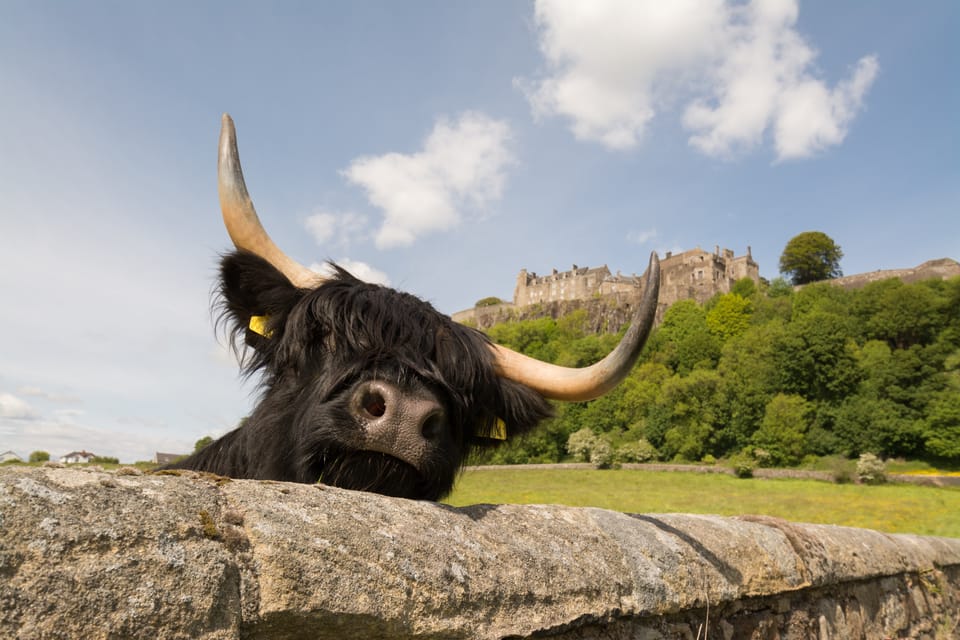 From Edinburgh: Loch Lomond, Stirling Castle & Kelpies Tour - Stirling Castle Visit