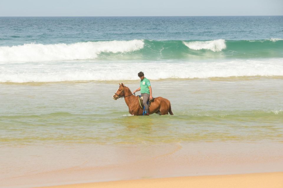 From Evora: Horseback Riding on Comporta Beach - Itinerary and Transportation Details