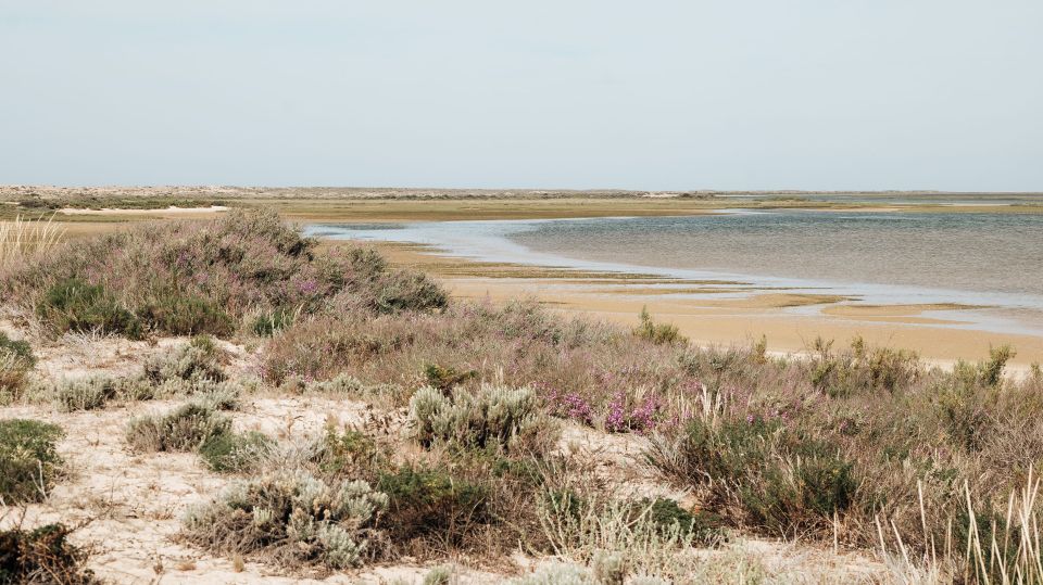 From Faro: Catamaran Boat Trip to Deserta Island With Stop - Accessibility and Sustainability Considerations