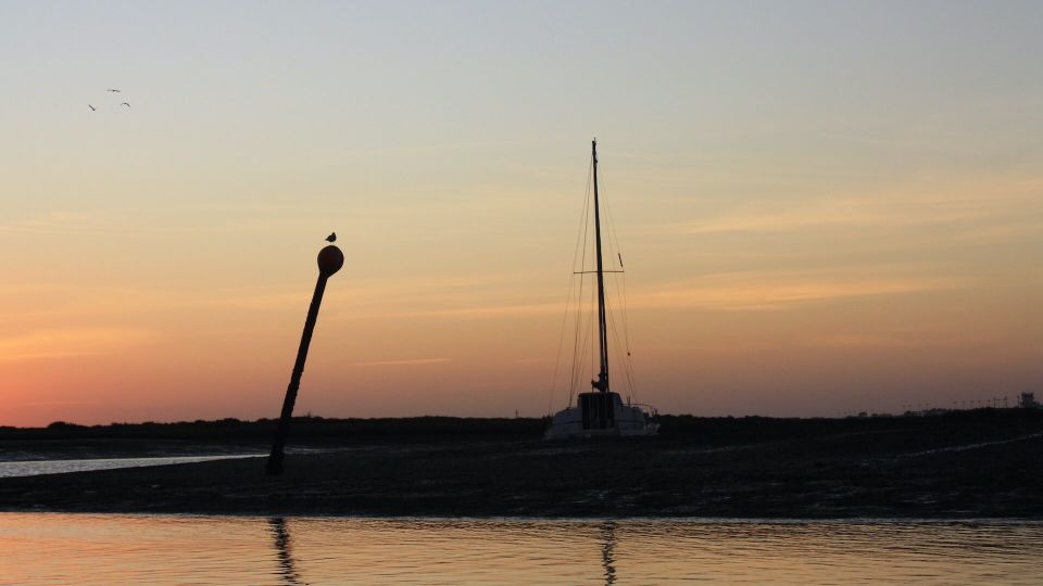 From Faro: Ria Formosa Sunset Boat Trip - Recommendations for Visitors