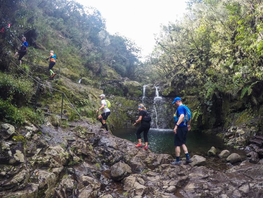 From Funchal: Easy to Moderate Green Levada Running Tour - Inclusions and Recommendations