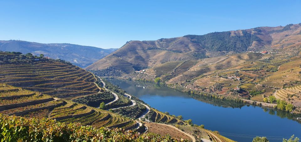 From Gaia Douro Valley Tour Wine Tasting River Cruise Lunch - Douro River Boat Cruise