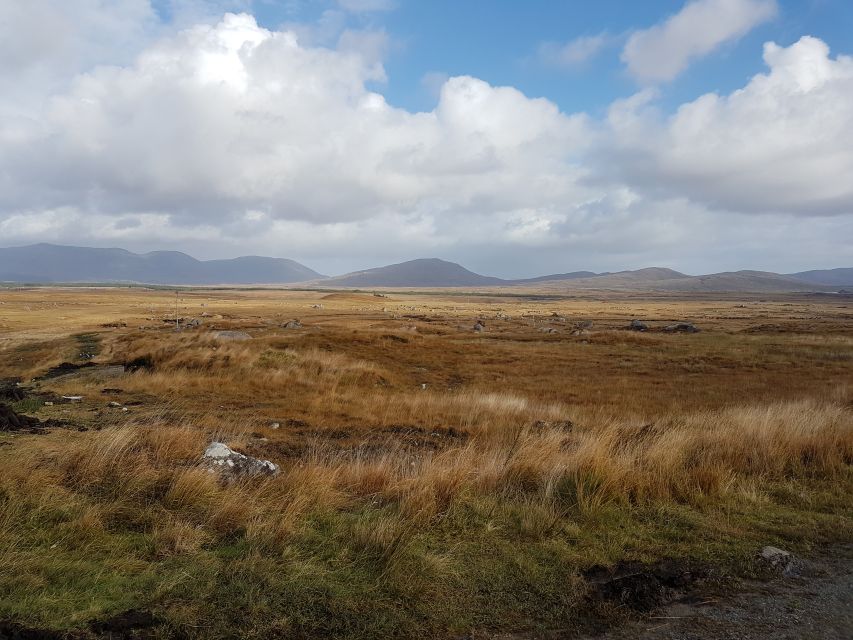 From Galway: Connemara and Kylemore Abbey Day Tour - Pickup Location and Time