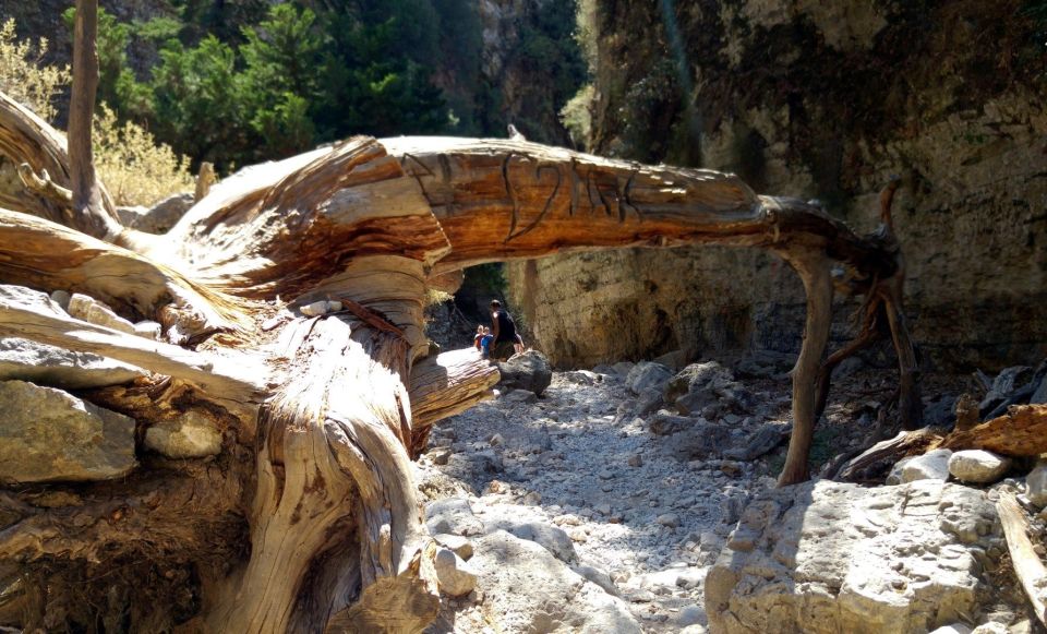 From Heraklion: Imbros Gorge Hiking Experience - Hiking Route Details