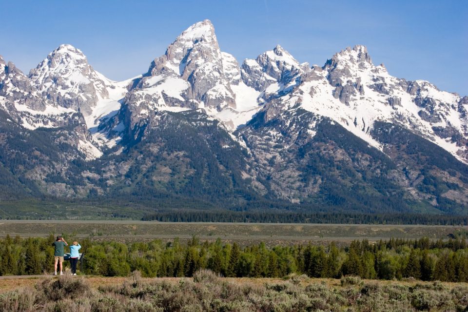 From Jackson Hole: Half-Day Grand Teton Wildlife Tour - Stunning Alpine Scenery