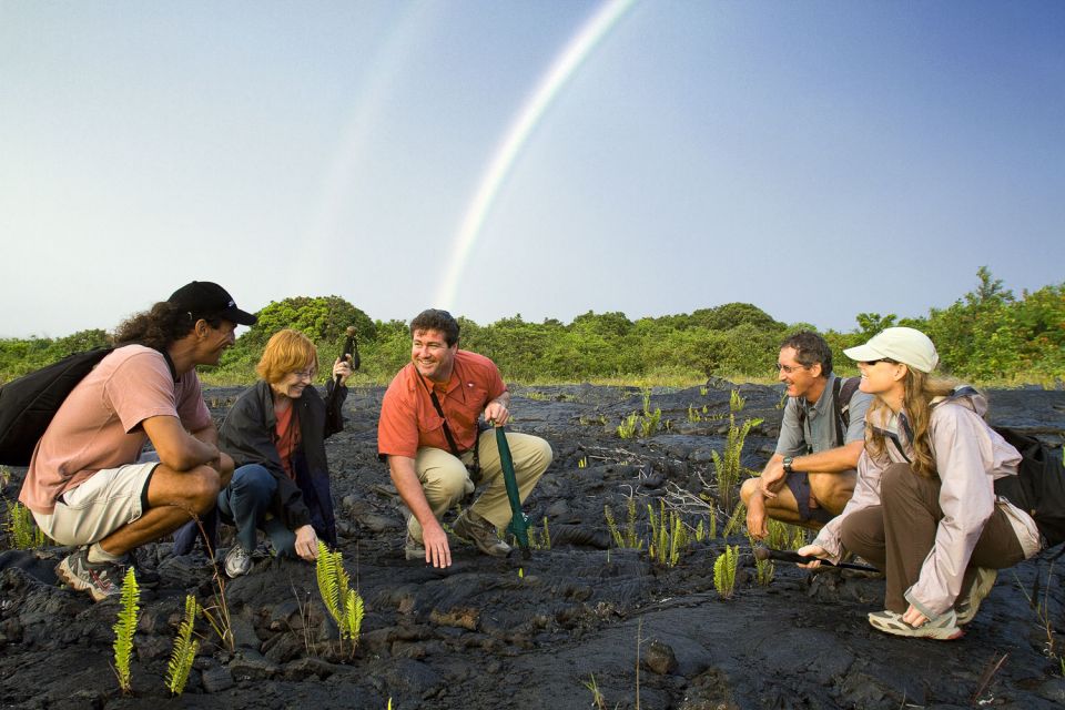 From Kona and Waikoloa: Kilauea Volcano Discovery Tour - Price and Availability