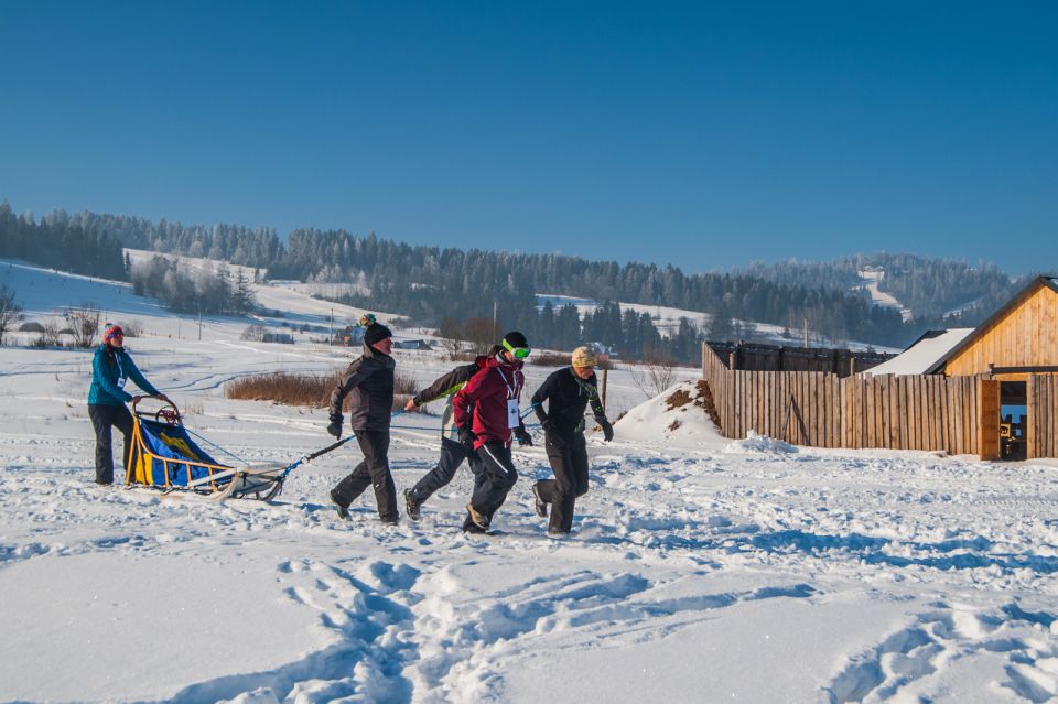 From Krakow: Dogsled Ride in Tatra Mountain - Experience Highlights