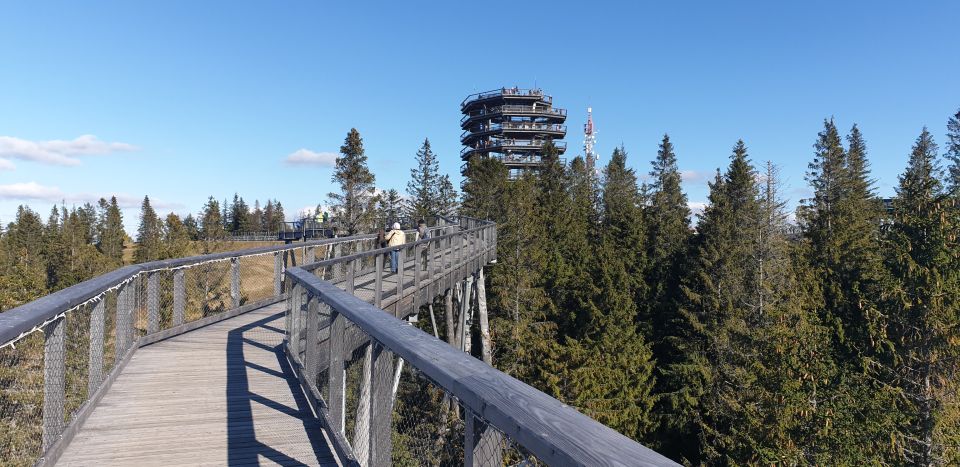 From Krakow: Tour to Slovakia Treetop Walk and Thermal Baths - Tour Inclusions