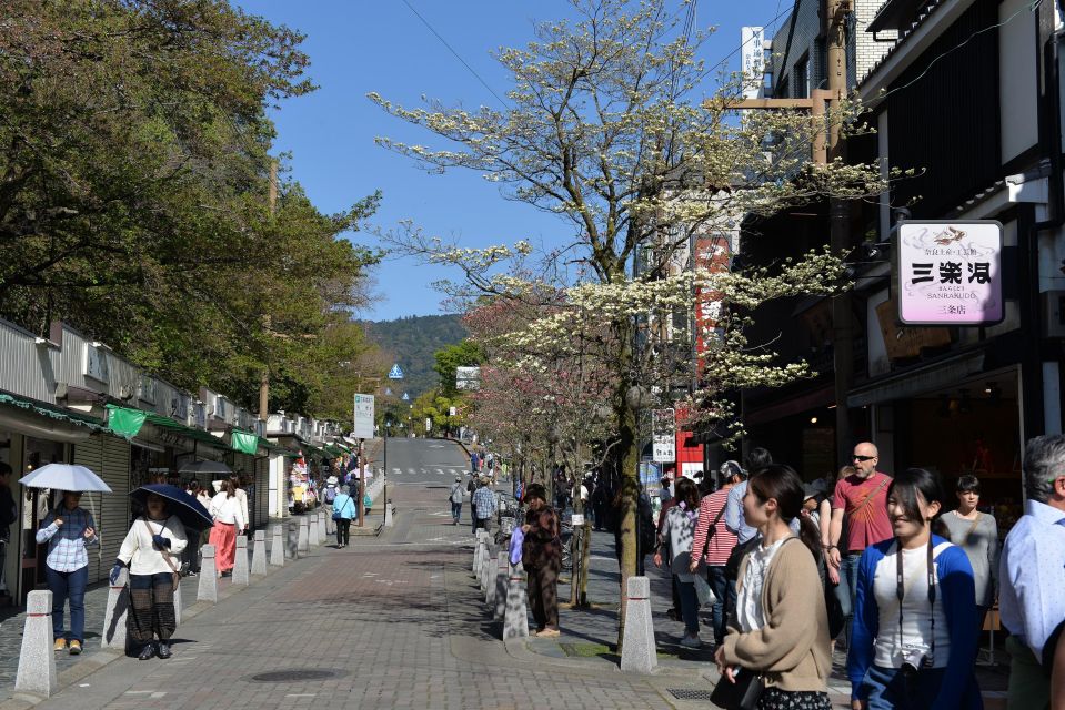 From Kyoto: Old Port Town and Ultimate Sake Tasting Tour - Stops