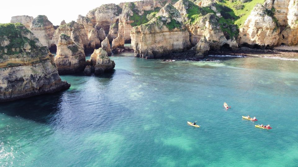 From Lagos: Kayak Experience in Ponta Da Piedade - Customer Reviews and Ratings