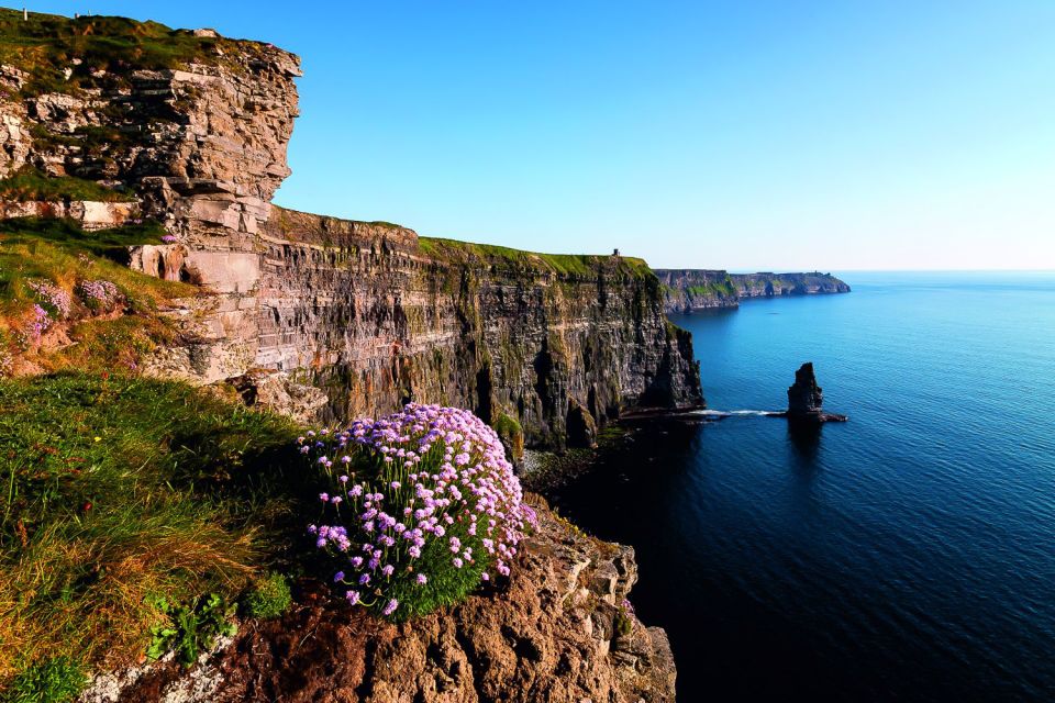 From Limerick: Full-Day Guided Tour of Cliffs of Moher - Customer Reviews