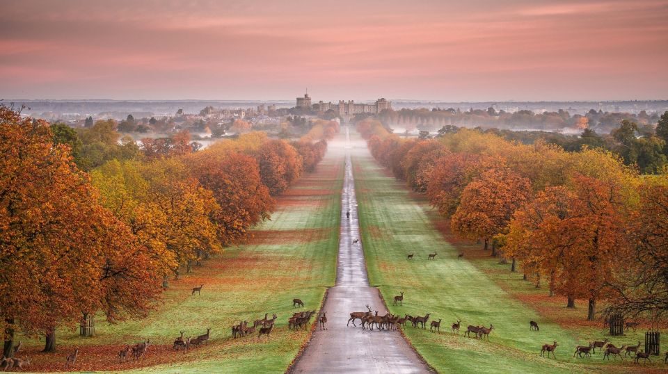 From London: Stonehenge, Windsor and Salisbury Guided Tour - Windsor Castle Tour