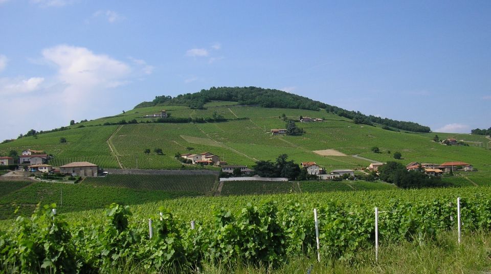 From Lyon: Beaujolais Region Wine Tour With Tastings - Group Size and Tour Guide