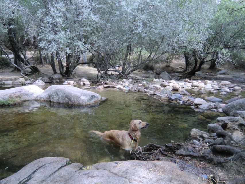 From Madrid: Sierra De Guadarrama Hiking Day Trip - Pickup and Transportation