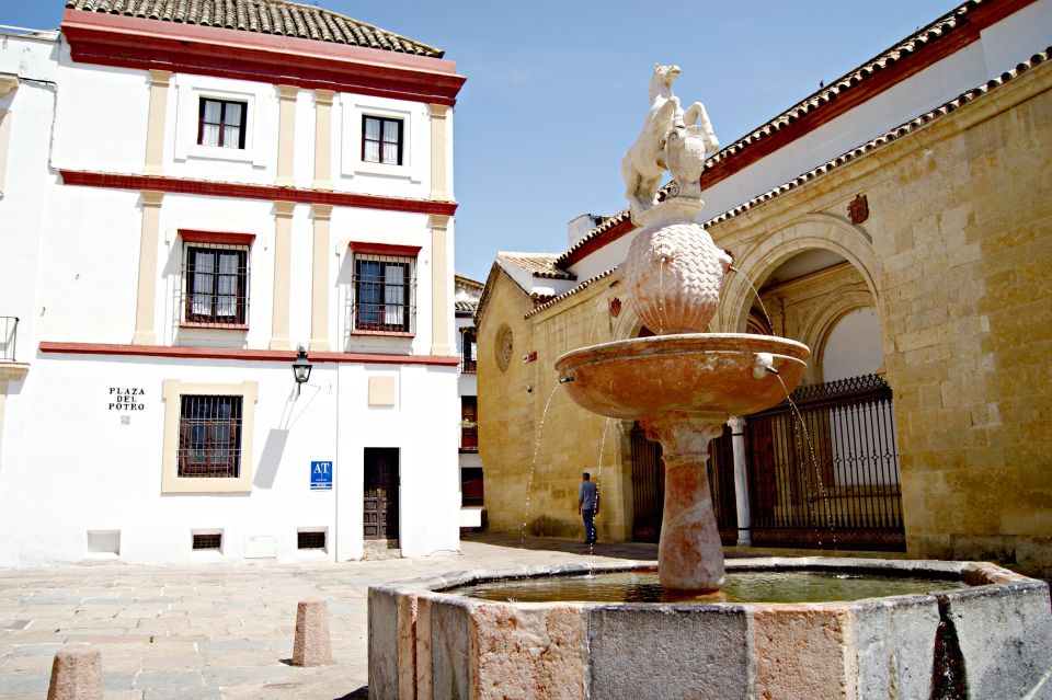 From Málaga: Córdoba Mosque Cathedral Guided Tour - Exploring the Mosque-Cathedral