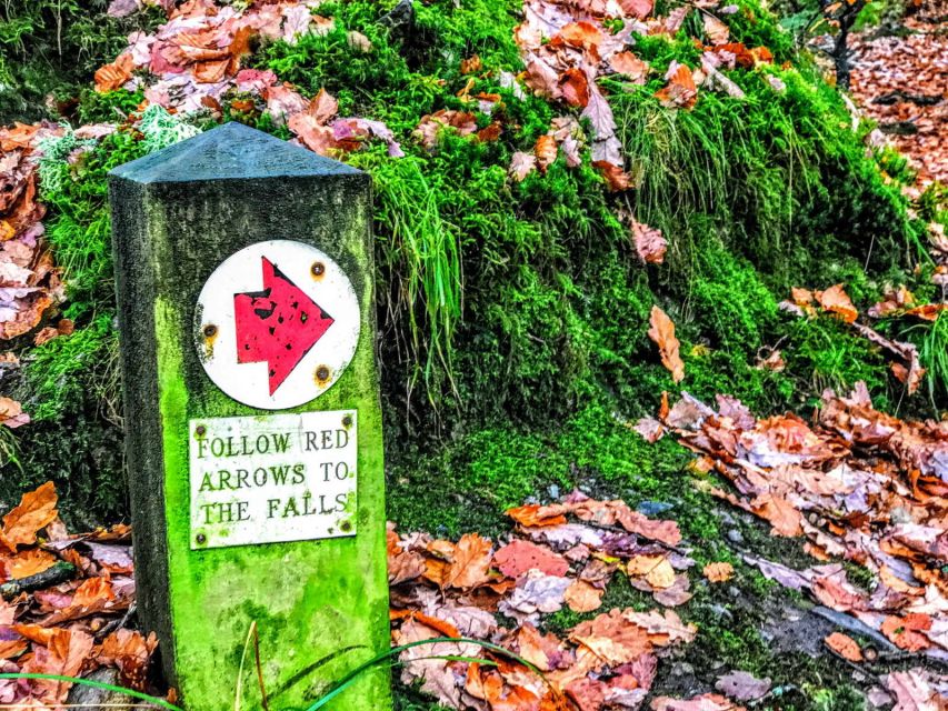 From Manchester: Lake District Sightseeing Day Trip - Tasting Traditional Gingerbread