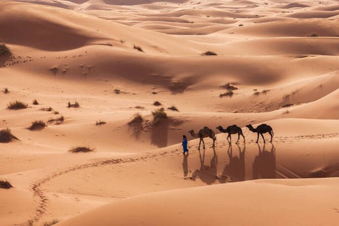 From Marrakech : 3 Days Desert Tour To Fes - Camel Trek and Sand Boarding