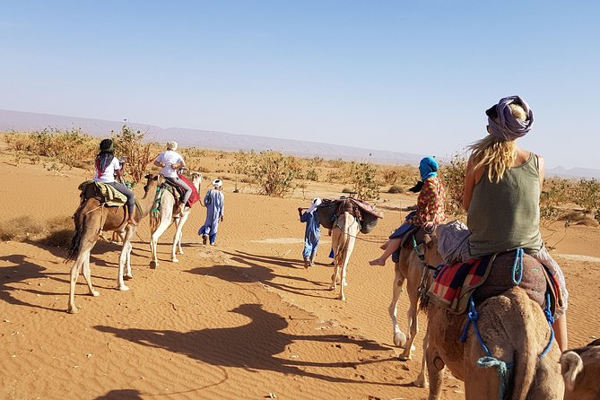 From Marrakech: Private Tour to Oasis and Trekking in the Desert of Erg Chigaga - Kasbah Ait Benhaddou Exploration