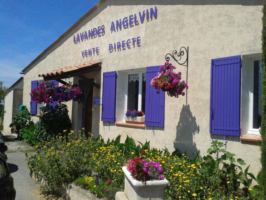 From Marseille: Valensole Lavenders Tour From Cruise Port - Cruise Port Pickup and Drop-off