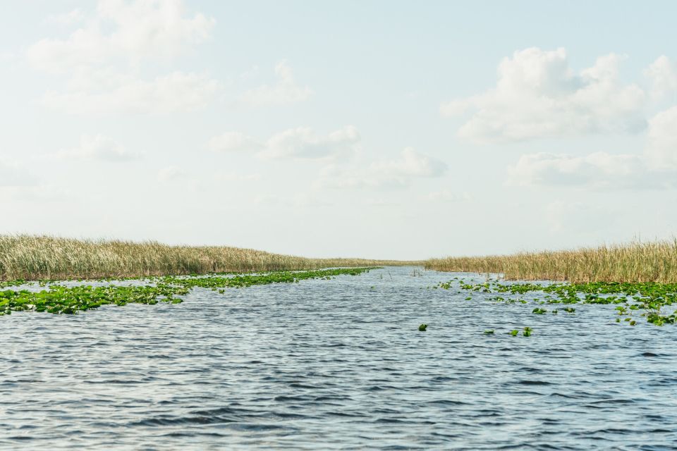 From Miami: Everglades Airboat, Wildlife Show & Bus Transfer - Photo Opportunities and Guides