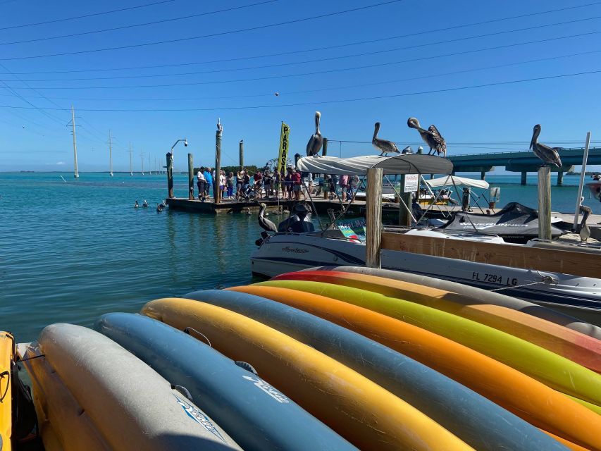 From Miami: Key Largo & Islamorada Private Open-Top Bus Tour - What to Expect