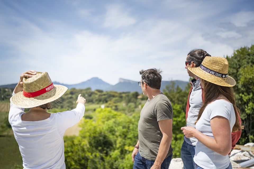 From Montpellier: Half-Day Vineyard & Pic Saint-Loup Tour - Pic Saint-Loup Landscape