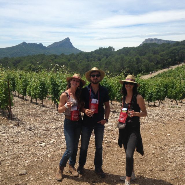 From Montpellier: Pic Saint-Loup Wine and Food Tour - Medieval Village