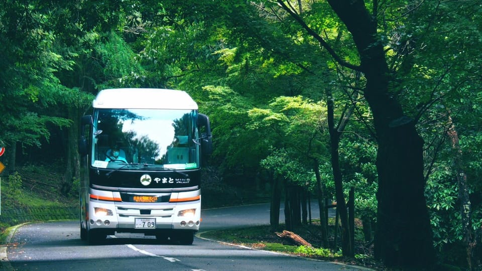 From Nara:Half-Day Bus Tour to UNESCO Heritage&Mt. Wakakusa - Unique Experiences