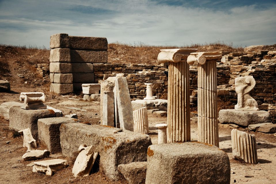 From Naxos: Delos and Mykonos Day Trip With Licensed Guide - Suitability and Requirements