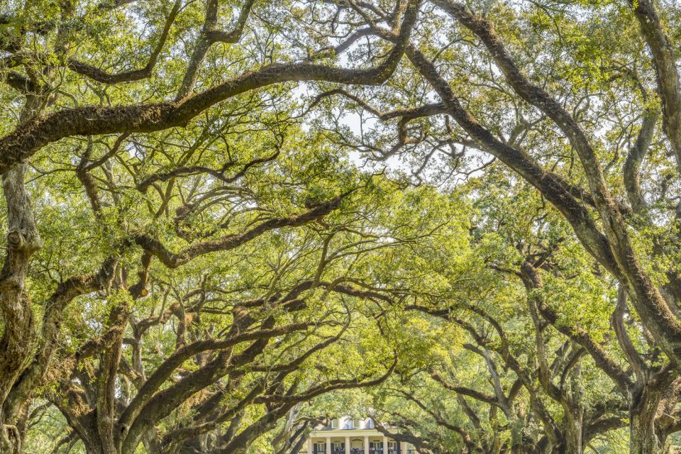 From New Orleans: Oak Alley Plantation Tour - Drop-off Locations