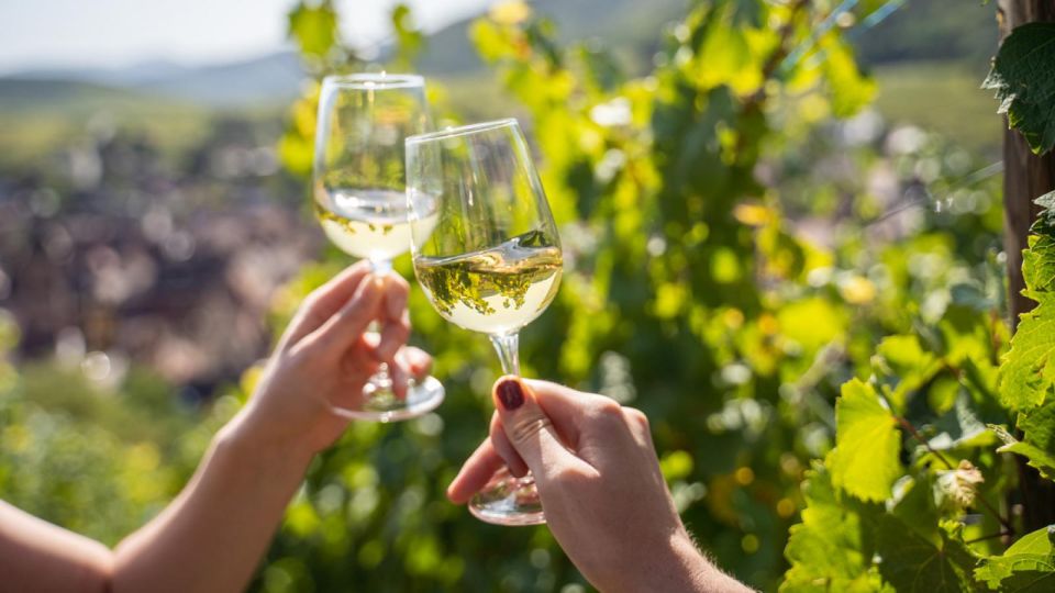 From Nice: Wine Tasting and Provencal Countryside Tour - Roundtrip Transportation and Accommodation Pickup