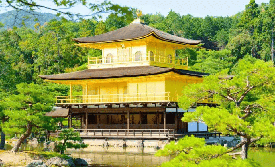 From Osaka: Kyoto Full Day Customized Private Tour - Languages and Group Size