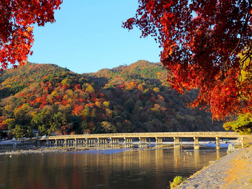 From Osaka: Kyoto Top Highlights Day Trip - Arashiyama