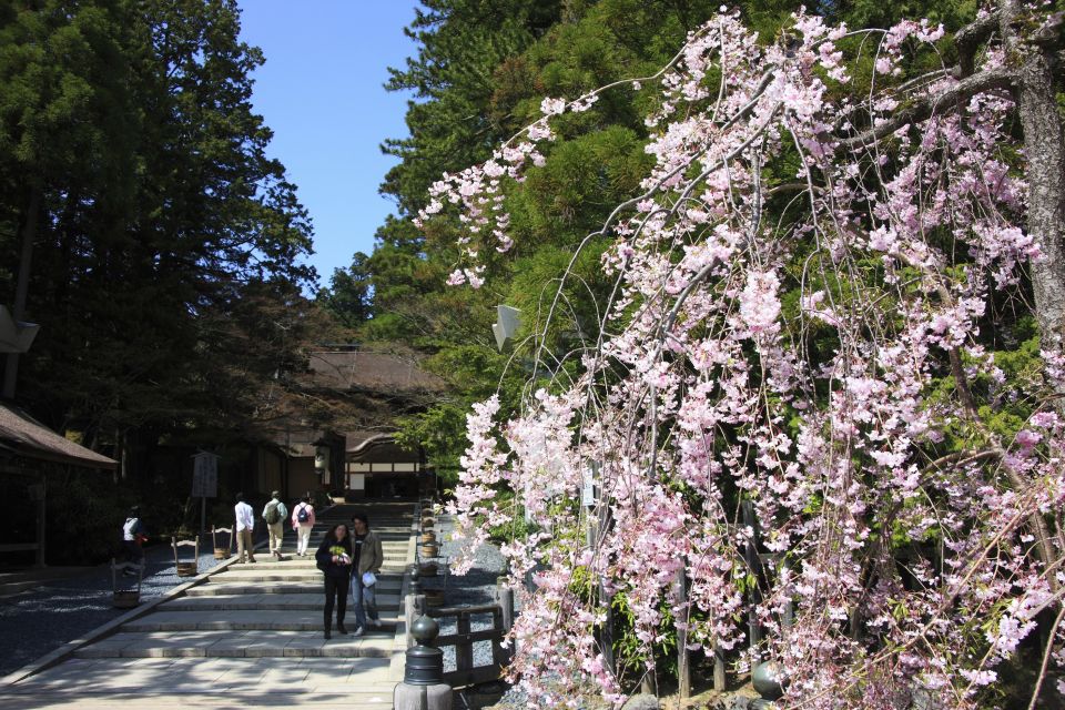 From Osaka: Mt. Koya Private Walking and Train Tour - Frequently Asked Questions