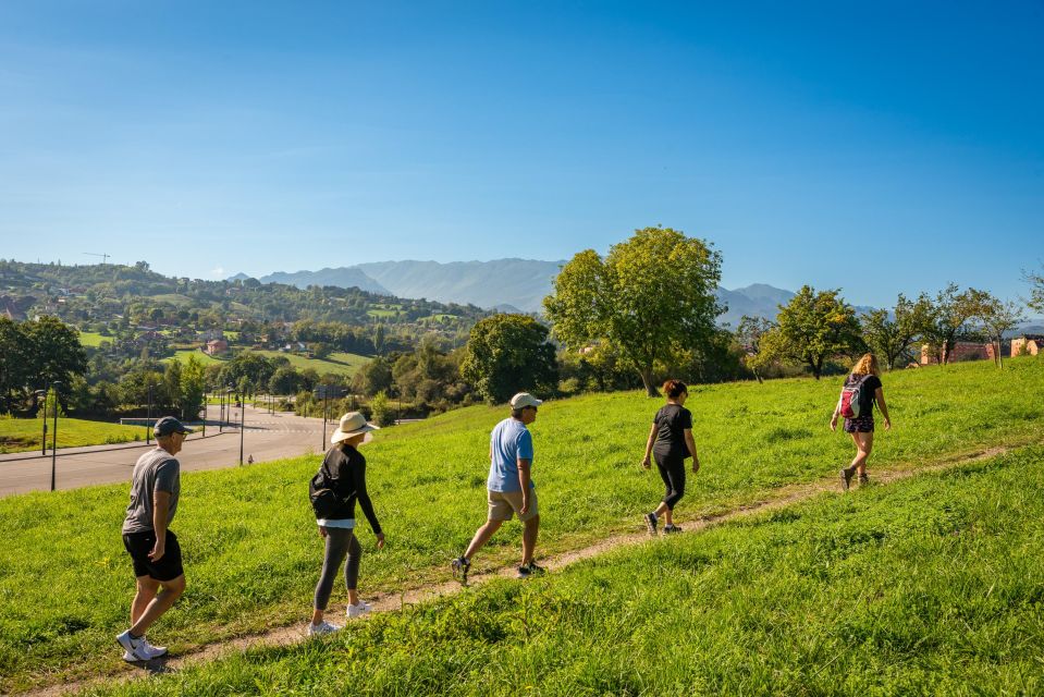 From Oviedo: Half-Day Camino De Santiago Hike - Things To Known