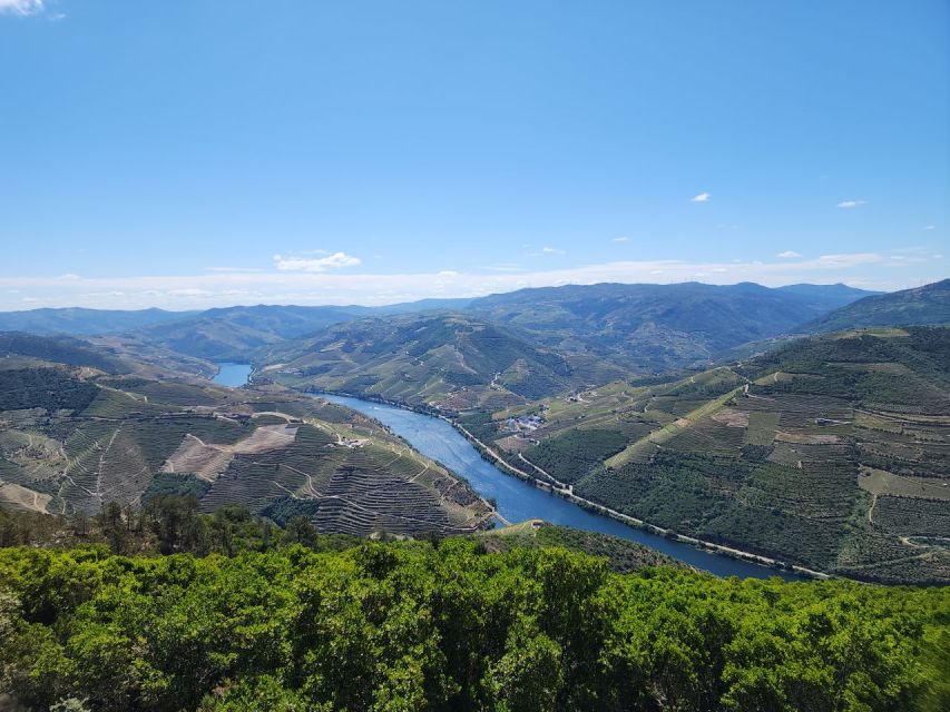 From Peso Da Régua: Visit 3 Wineries, Tasting and Viewpoint - Booking Information and Pricing