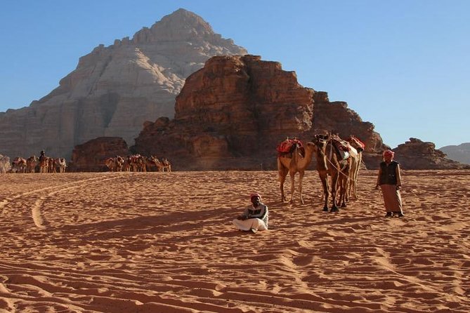 From Petra to Wadi Rum Back to Amman or Airport - Exploring Wadi Rums Natural Beauty