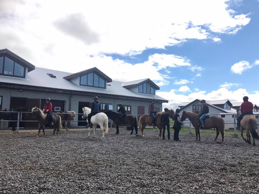 From Reykjavik: Evening Horseback Tour With Transfer - Pickup and Drop-off Service