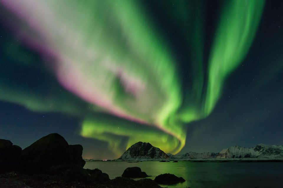 From Reykjavik: Northern Lights Sightseeing Cruise - Cancellation Policy