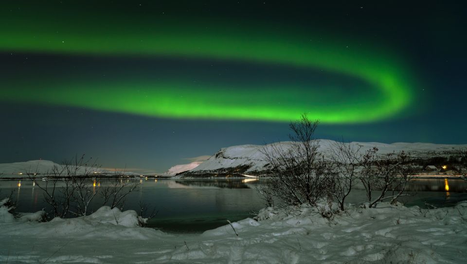 From Reykjavik: Northern Lights & Stargazing Bus Tour - Highlights of the Tour