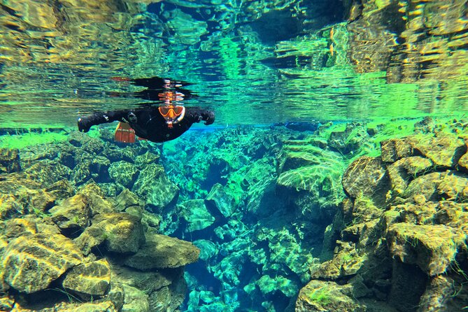 From Reykjavik- Silfra Snorkeling Transfer Included - Snorkeling Experience Between Tectonic Plates