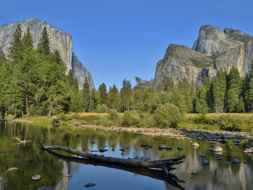 From San Francisco: Yosemite National Park Private Day Tour - Free Time in Yosemite