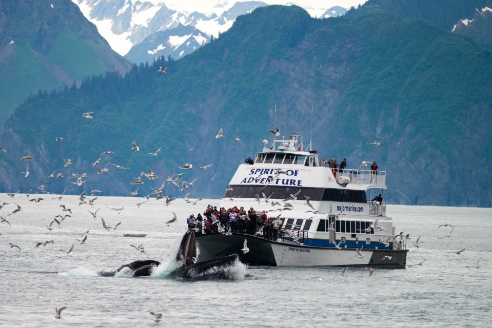 From Seward: Kenai Fjords National Park Cruise With Lunch - Accessibility and Mobility Considerations