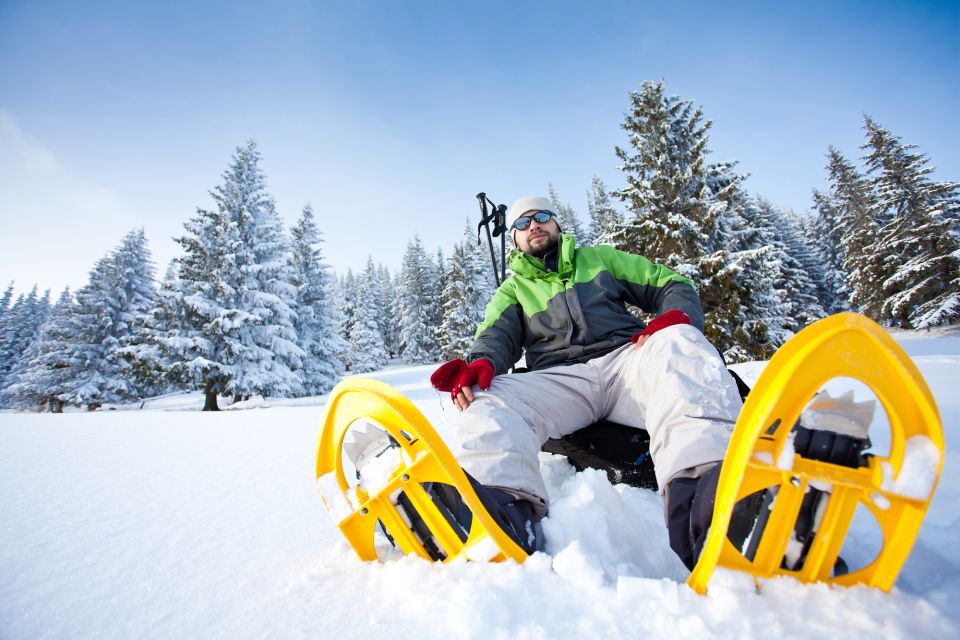 From Sirkka: Levi Summit Guided Nature Snowshoeing Tour - Returning to Sirkka